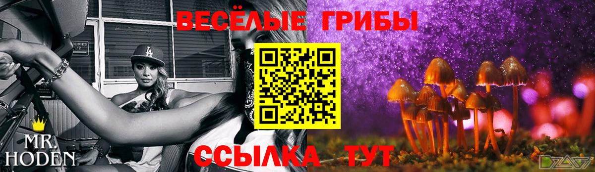 Галлюциногенные грибы GOLDEN TEACHER  Вход с VPN  Можайск  Псилоцибиновые грибы ЛСД 